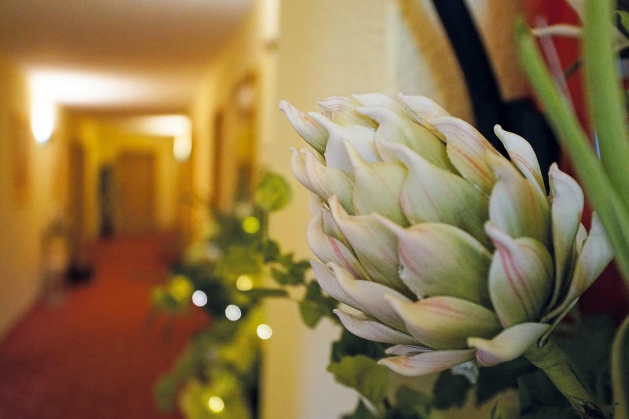 Hotel Und Restaurant Buehlhaus ไอเบินชตอค ภายนอก รูปภาพ